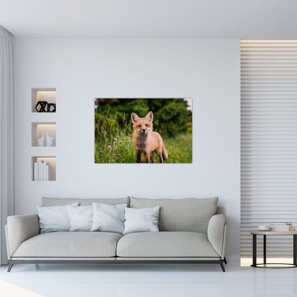 Tablou cu vulpe (90x60 cm)