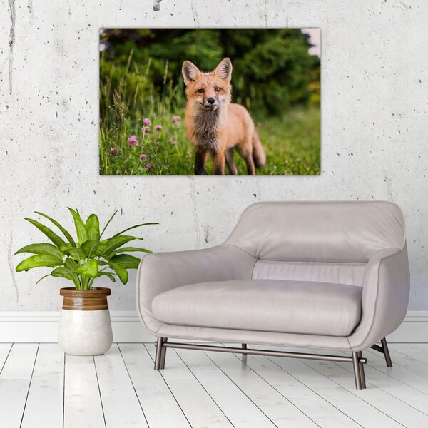 Tablou cu vulpe (90x60 cm)