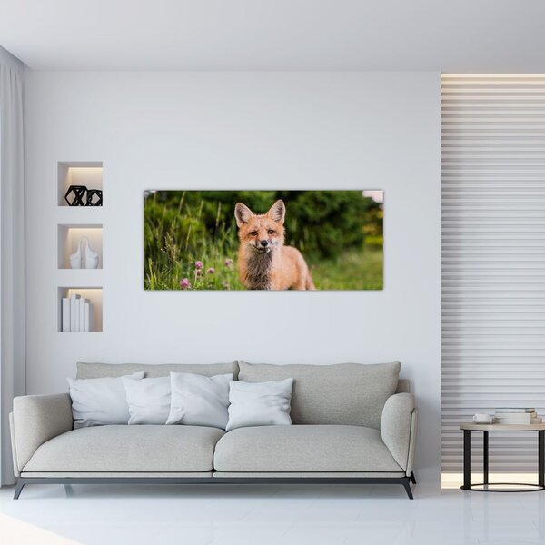 Tablou cu vulpe (120x50 cm)