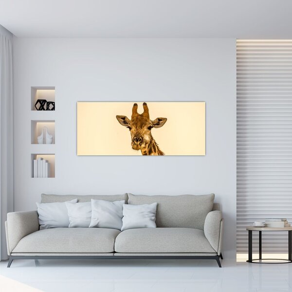 Tablou cu girafe (120x50 cm)