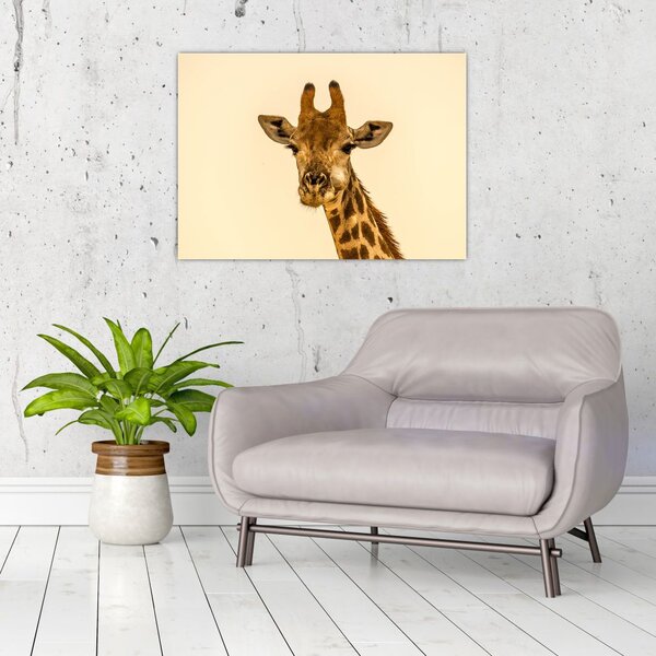 Tablou cu girafe (70x50 cm)