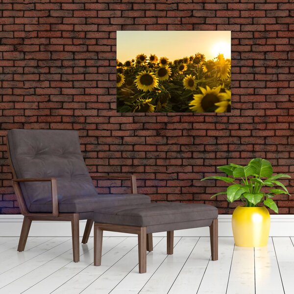 Tablou cu lan de floarea soarelui (70x50 cm)