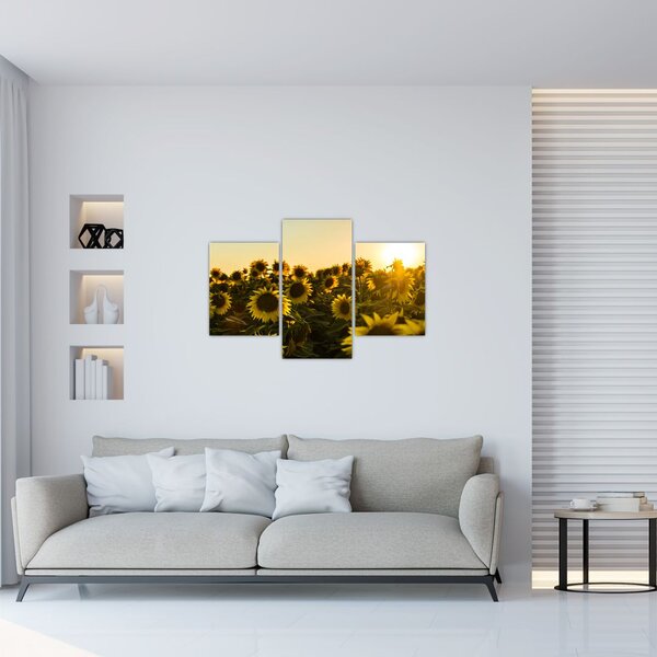 Tablou cu lan de floarea soarelui (90x60 cm)