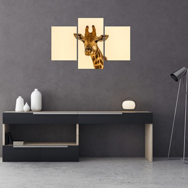 Tablou cu girafe (90x60 cm)