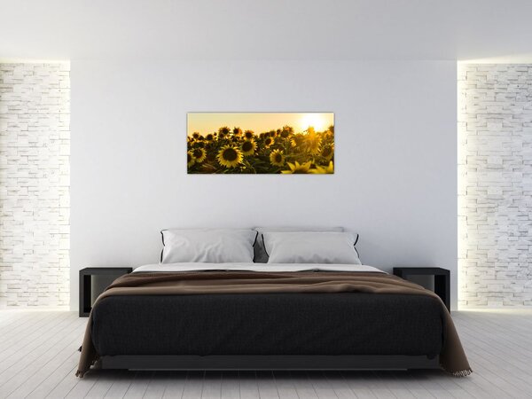 Tablou cu lan de floarea soarelui (120x50 cm)