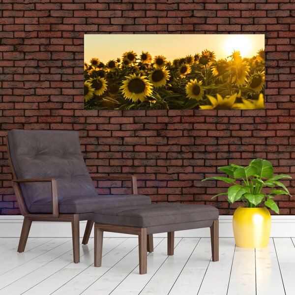 Tablou cu lan de floarea soarelui (120x50 cm)