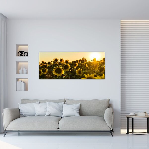 Tablou cu lan de floarea soarelui (120x50 cm)