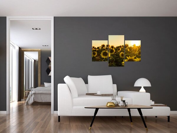Tablou cu lan de floarea soarelui (90x60 cm)