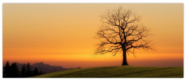 Tablou cu apus de soare pe o luncă (120x50 cm)