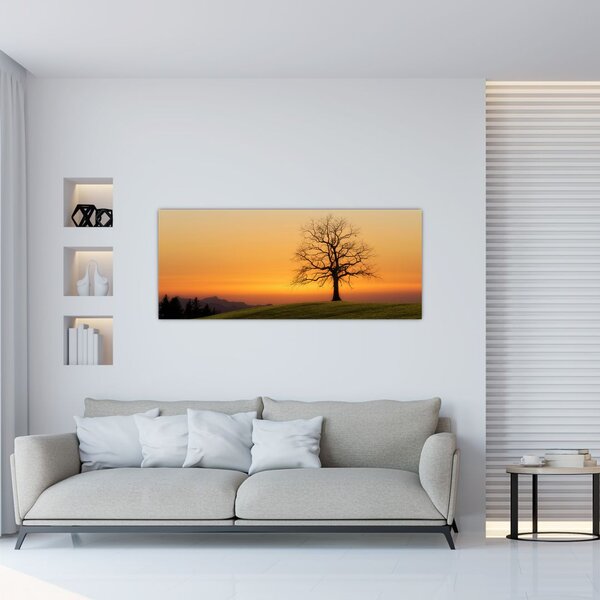 Tablou cu apus de soare pe o luncă (120x50 cm)