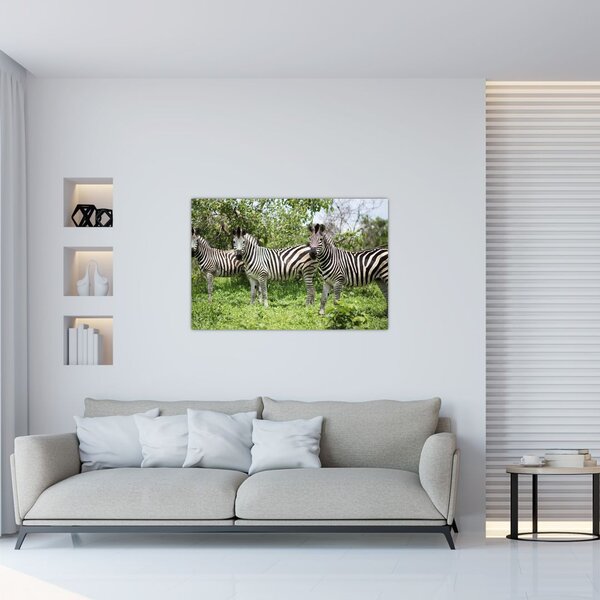 Tablou cu zebre (90x60 cm)