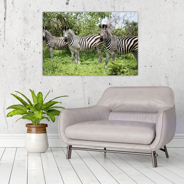 Tablou cu zebre (90x60 cm)