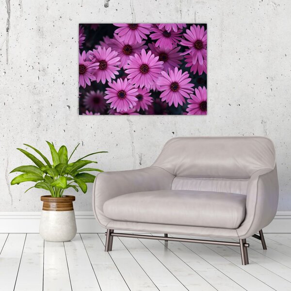 Tablou cu florile roz (70x50 cm)