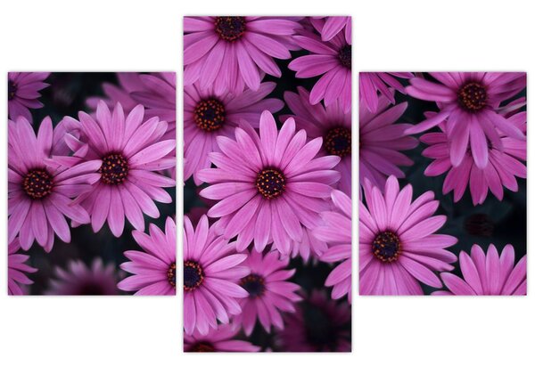 Tablou cu florile roz (90x60 cm)