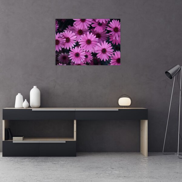 Tablou cu florile roz (70x50 cm)