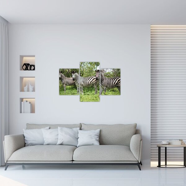 Tablou cu zebre (90x60 cm)