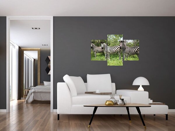 Tablou cu zebre (90x60 cm)