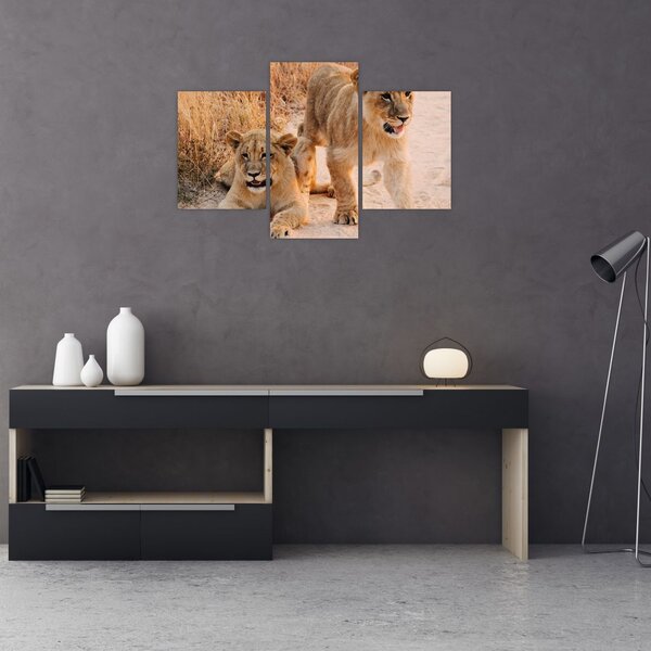 Tablou cu pui de leu (90x60 cm)