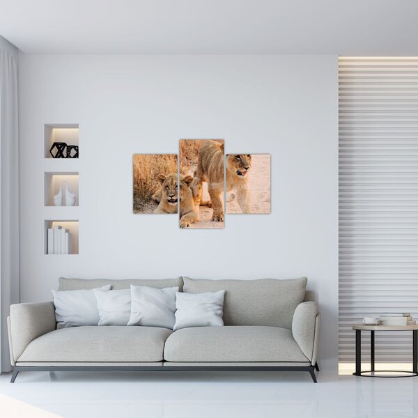 Tablou cu pui de leu (90x60 cm)