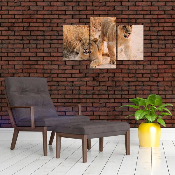 Tablou cu pui de leu (90x60 cm)