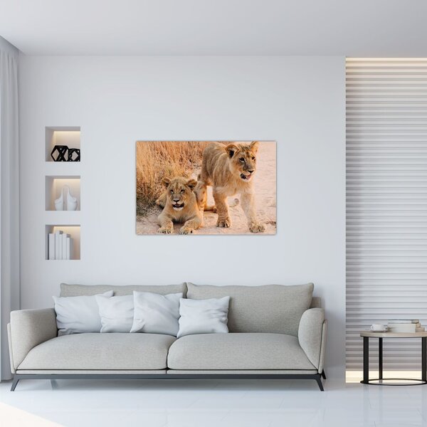 Tablou cu pui de leu (90x60 cm)