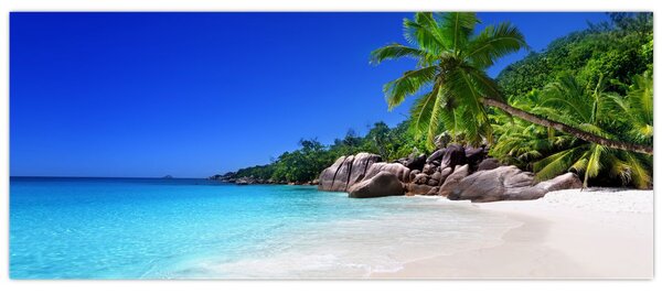 Tablou cu plaja pe insula Praslin (120x50 cm)