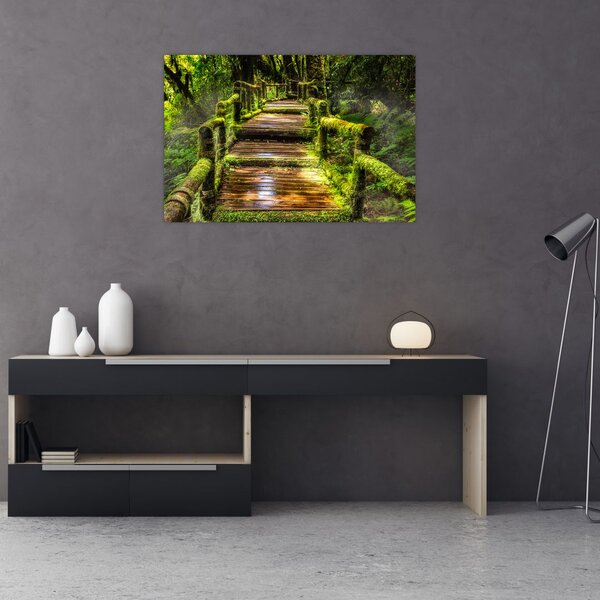 Tablou cu scări într-o pădure tropicală (90x60 cm)