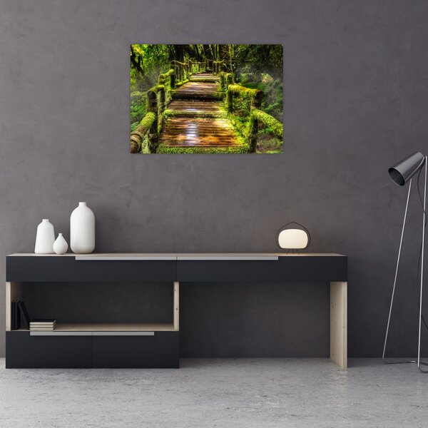 Tablou cu scări într-o pădure tropicală (70x50 cm)
