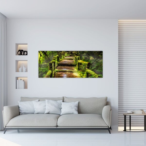 Tablou cu scări într-o pădure tropicală (120x50 cm)