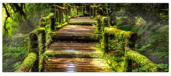 Tablou cu scări într-o pădure tropicală (120x50 cm)