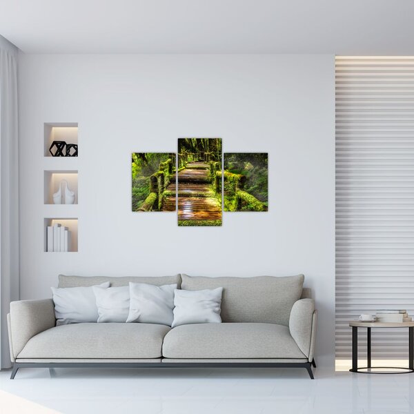 Tablou cu scări într-o pădure tropicală (90x60 cm)