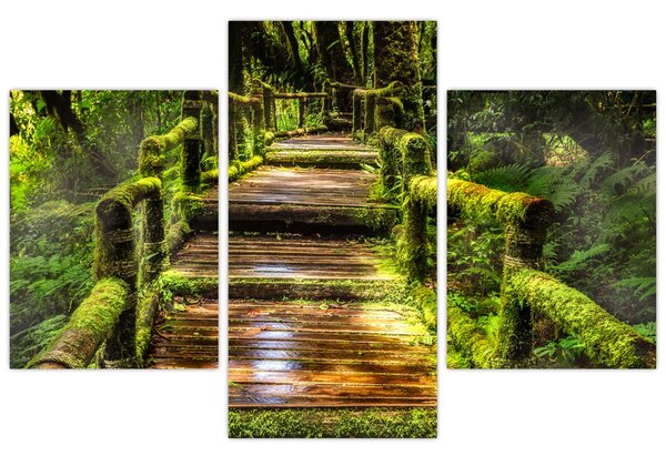 Tablou cu scări într-o pădure tropicală (90x60 cm)