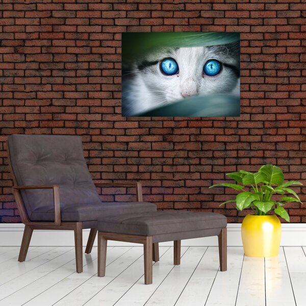Tablou cu pisica (70x50 cm)