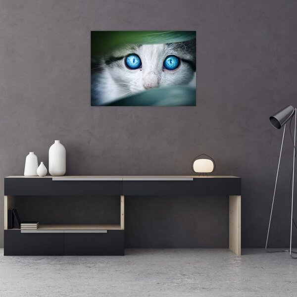 Tablou cu pisica (70x50 cm)