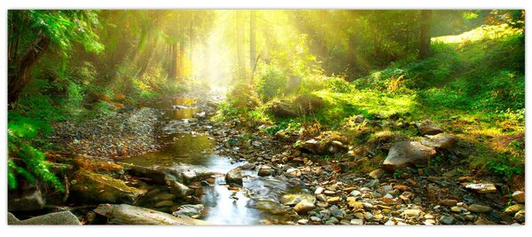 Tablou cu râul în pădurea verde (120x50 cm)