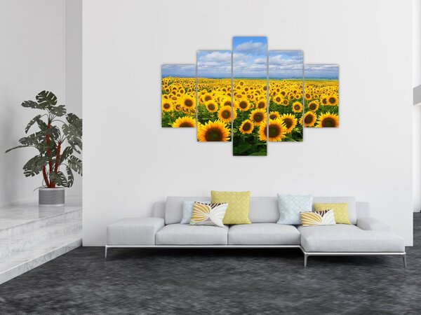 Tablou cu lan de floarea soarelui (150x105 cm)
