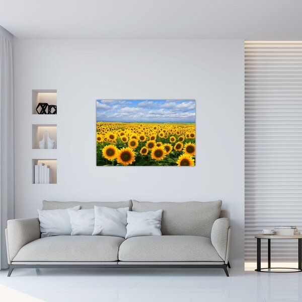 Tablou cu lan de floarea soarelui (90x60 cm)