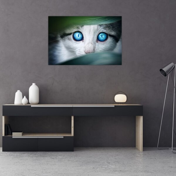 Tablou cu pisica (90x60 cm)