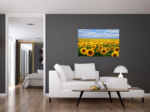 Tablou cu lan de floarea soarelui (90x60 cm)
