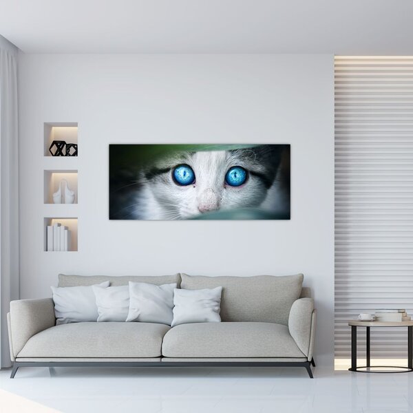 Tablou cu pisica (120x50 cm)