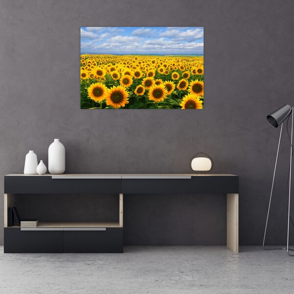 Tablou cu lan de floarea soarelui (90x60 cm)