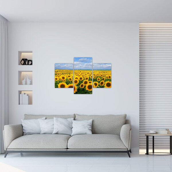 Tablou cu lan de floarea soarelui (90x60 cm)