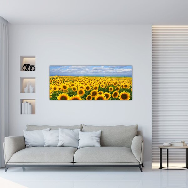 Tablou cu lan de floarea soarelui (120x50 cm)
