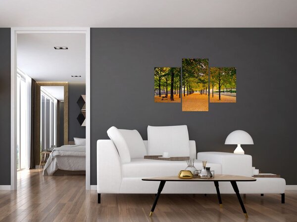 Tablou cu alee cu copaci în toamnă (90x60 cm)
