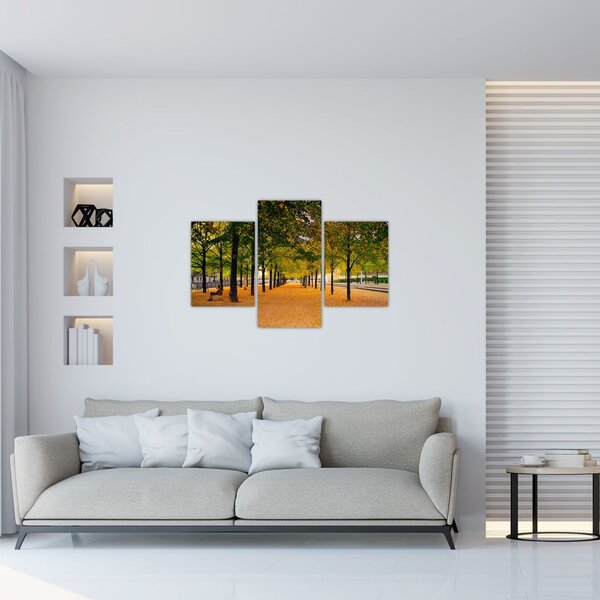 Tablou cu alee cu copaci în toamnă (90x60 cm)