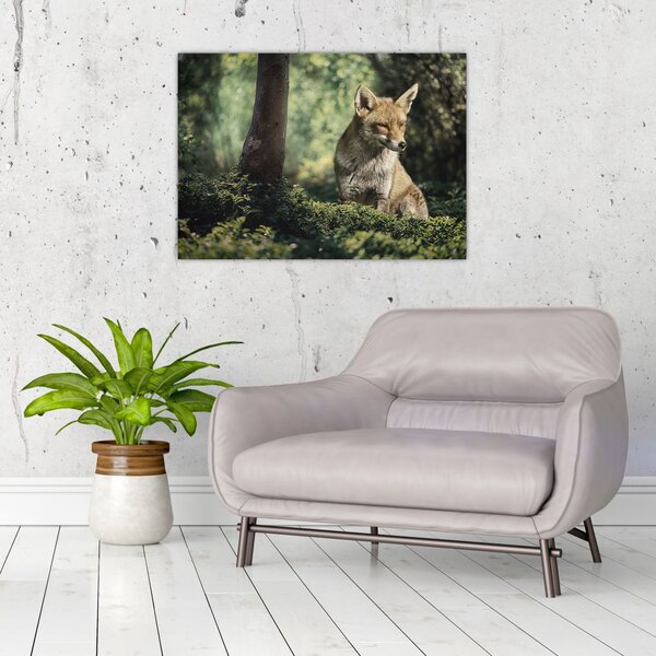 Tablou cu vulpe (70x50 cm)