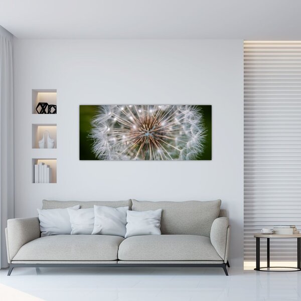 Tablou cu păpădie (120x50 cm)