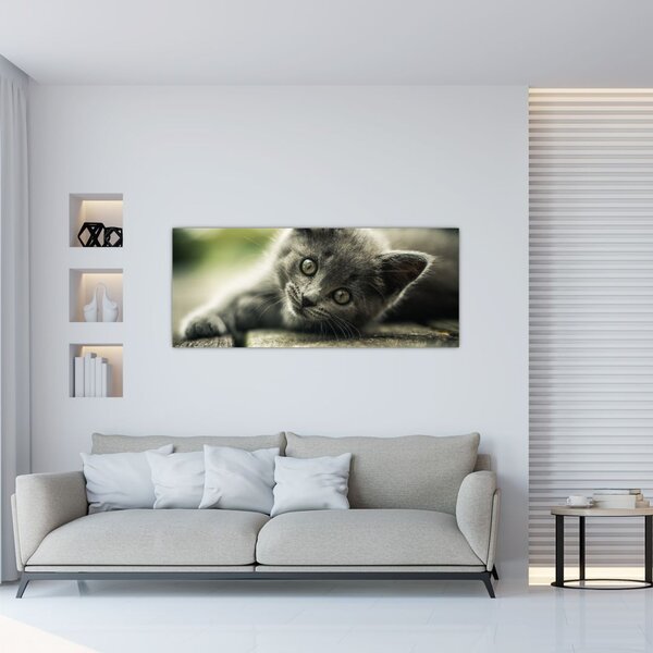 Tablou cu pisicuța (120x50 cm)