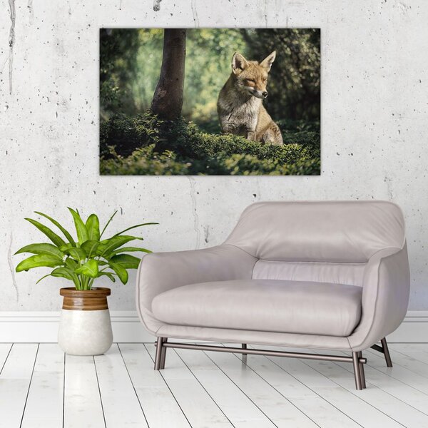 Tablou cu vulpe (90x60 cm)