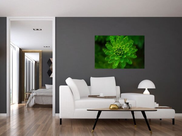 Tablou cu coniferi (90x60 cm)